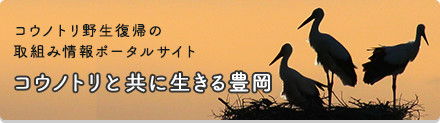 特設サイトのバナー（外部リンク・新しいウィンドウで開きます）