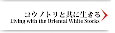 コウノトリと共に生きる