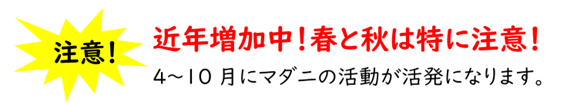 マダニ注意喚起