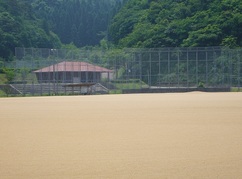 写真：多目的グラウンド