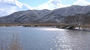 写真：豊岡地域　晴れた日の水辺の様子