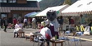 写真：玄武岩の玄さん