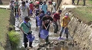 写真：生きもの観察