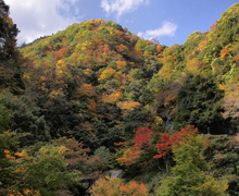 写真：阿瀬渓谷