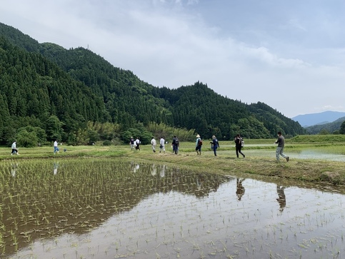 写真:豊岡の農業の特徴を学ぶ研修(コウノトリ育むお米の圃場見学)