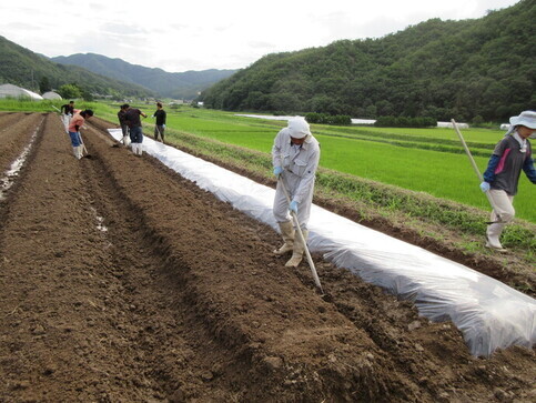 写真:実地研修の様子