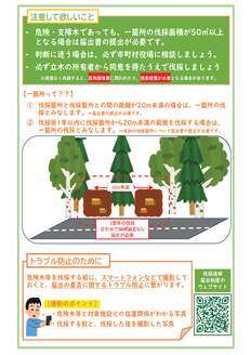 危険木・支障木の伐採造林届不要（チラシ）2