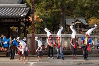 写真：コウノトリダンス