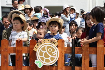 写真：看板と木製柵