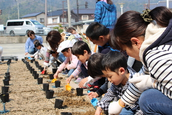 写真：竹野子育て広場の苗植えの様子