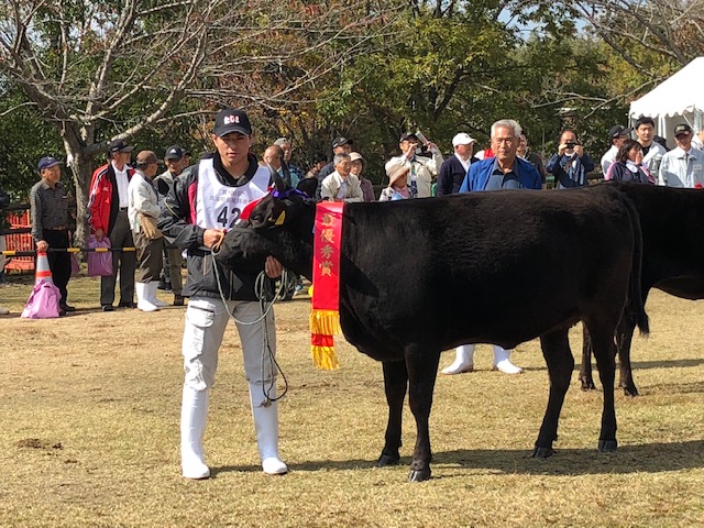 写真：谷口正徳さんと但馬牛