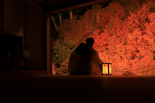 写真：安国禅寺のドウダンツツジ2