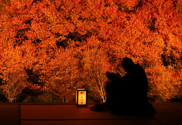 写真：安国禅寺のドウダンツツジ3