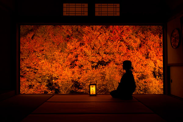 写真：安国禅寺のドウダンツツジ4