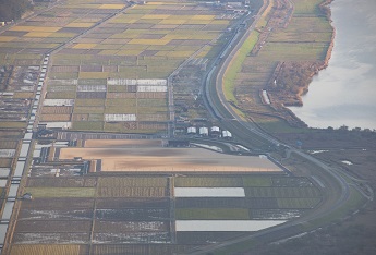 写真6：周辺の生態系にも配慮