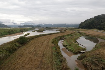 写真9：自然再生事業で整備された加陽湿地