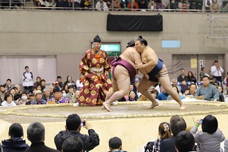 写真：激しくぶつかり合う力士