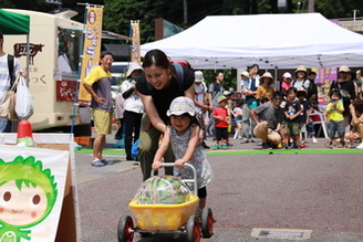 写真：スイカ運び大会幼稚園の部