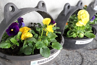 写真：丁寧に移植された花