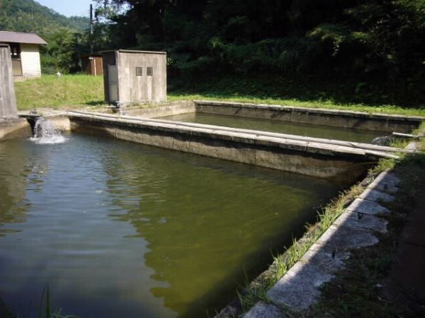 写真：荒船浄水場