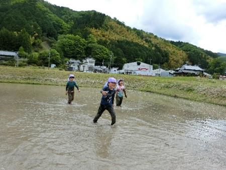 運動遊びの取組状況写真2