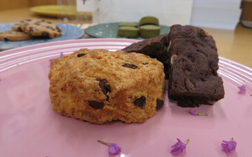 写真：今回の開催場所 Sweets&Booksキノシタの焼き菓子