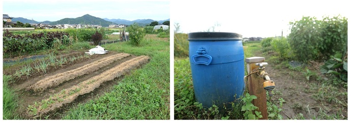 今森市民農園