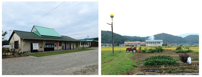 鳥居やすらぎ市民農園　画像