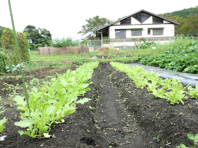 かんなべ東河内市民農園　画像1