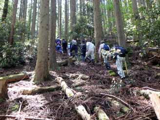 写真：大トチノキに続く道6