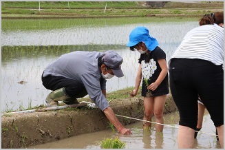 写真：五荘奈佐幼稚園児の田植え体験10