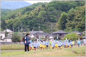 写真：五荘奈佐幼稚園児の田植え体験3