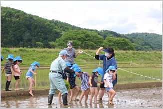 写真：五荘奈佐幼稚園児の田植え体験6