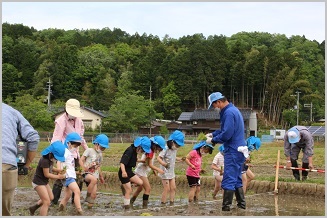 写真：五荘奈佐幼稚園児の田植え体験9