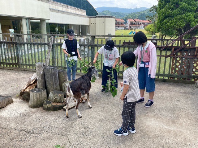 活動の様子4