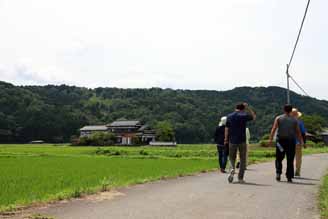 写真：田んぼの上を吹く風が涼しく感じます