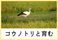 コウノトリと育む