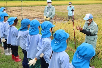 写真：五荘奈佐幼稚園児の田植え体験2