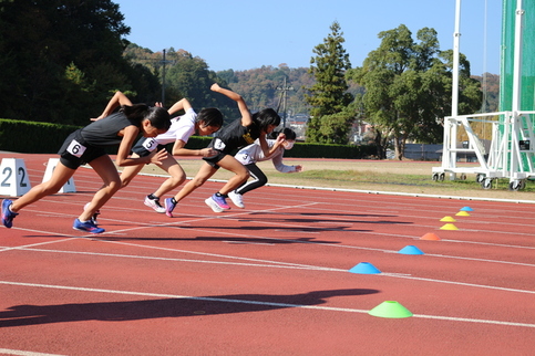 写真：会場の様子