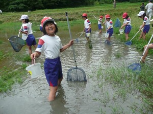 ビオトープで生きもの調査をする子ども