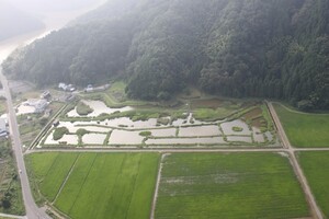 上空から撮影したハチゴロウの戸島湿地