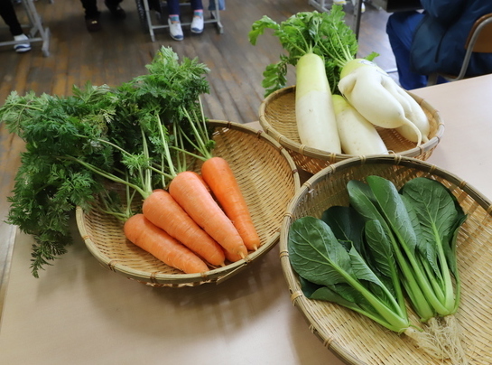 写真：給食に提供された有機野菜