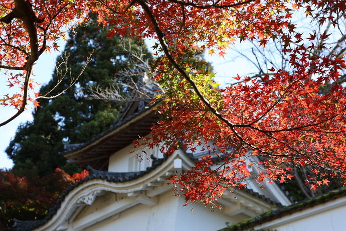 写真：出石城跡紅葉