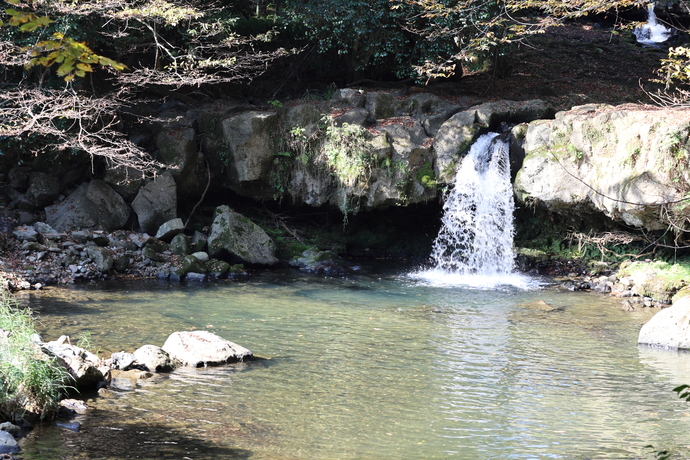 写真：淵