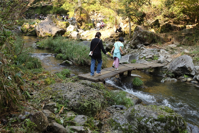 写真：川にかかった木の橋を渡る参加者