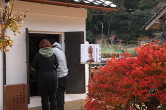 安国寺特別拝観の写真