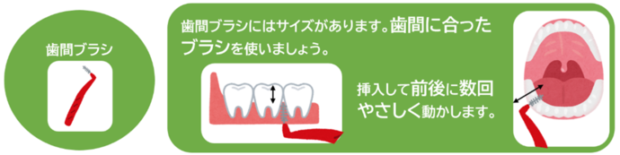 歯間ブラシの使い方