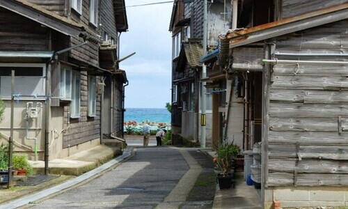 写真：竹野焼杉板景観保全事業