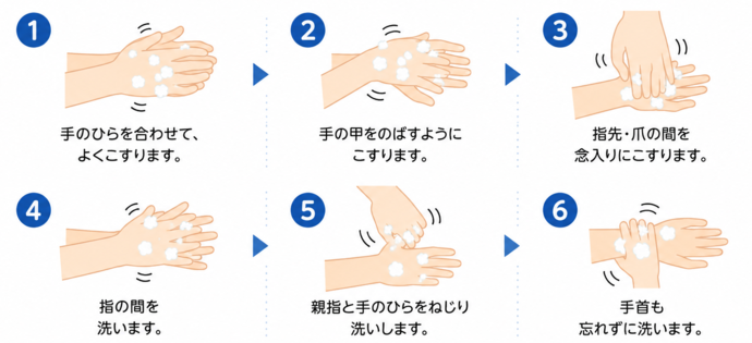 正しい手の洗い方