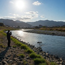コウノトリを撮影する男性
